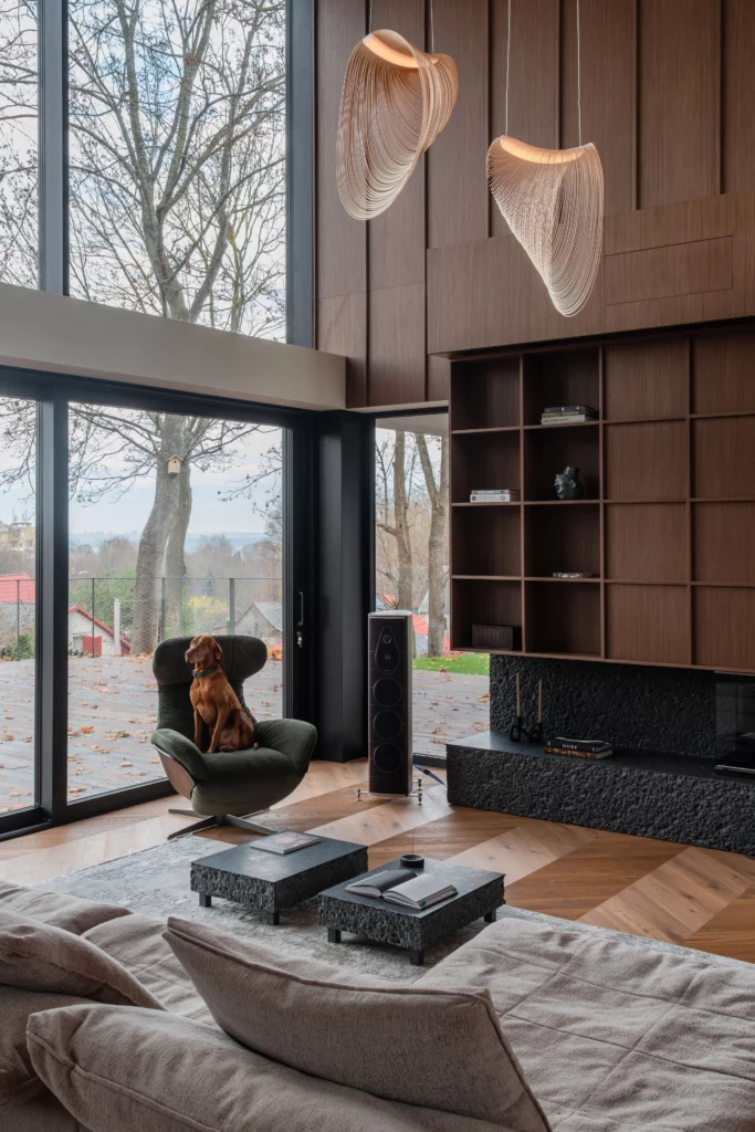 Private residence, Varėna, Lithuania #1